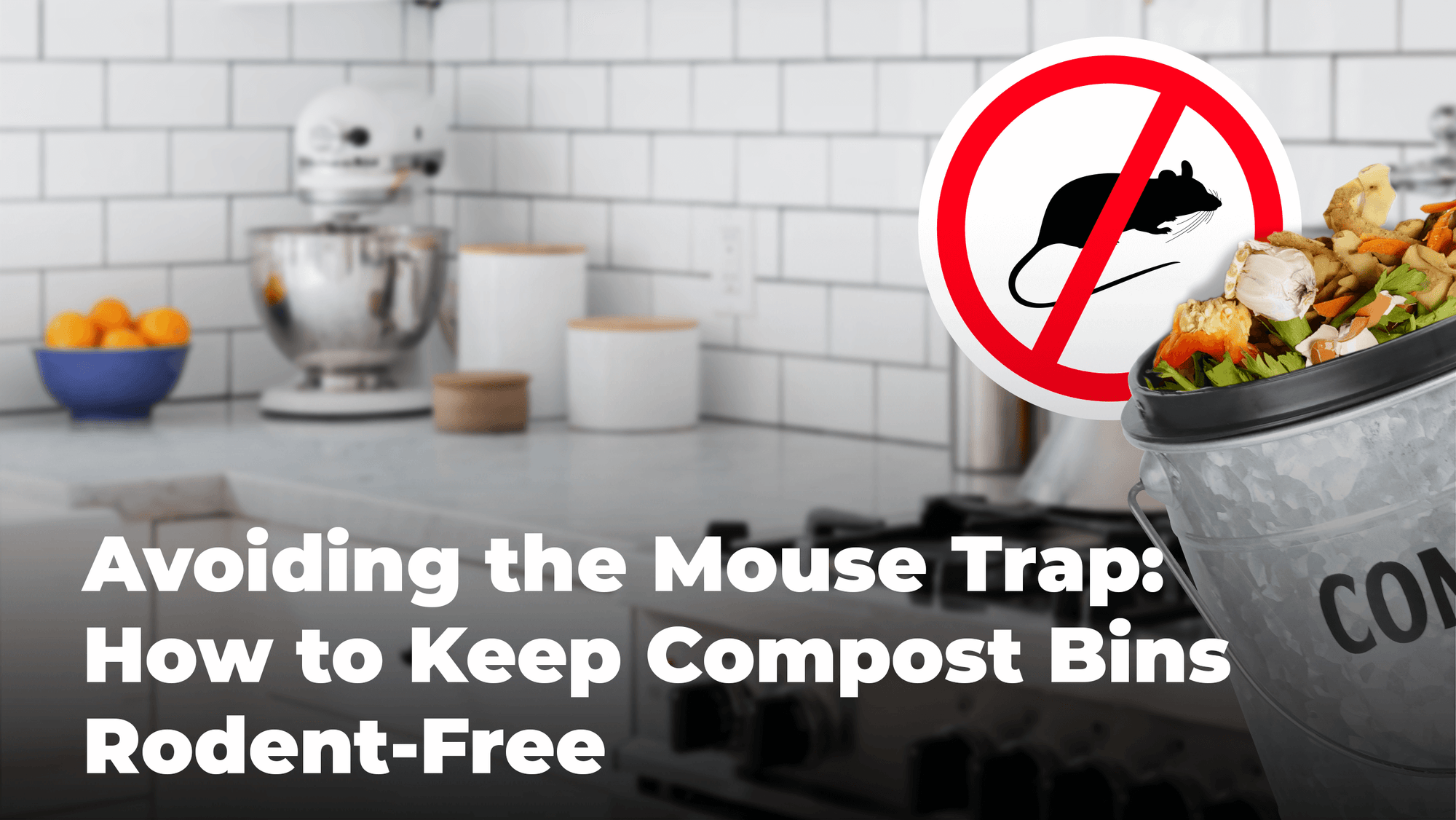 
          
            Avoiding the Mouse Trap: How to Keep Compost Bins Rodent-Free
          
        