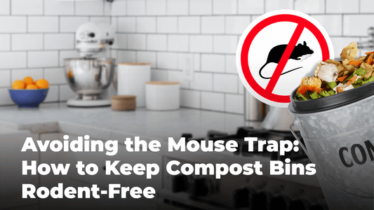 Avoiding the Mouse Trap: How to Keep Compost Bins Rodent-Free