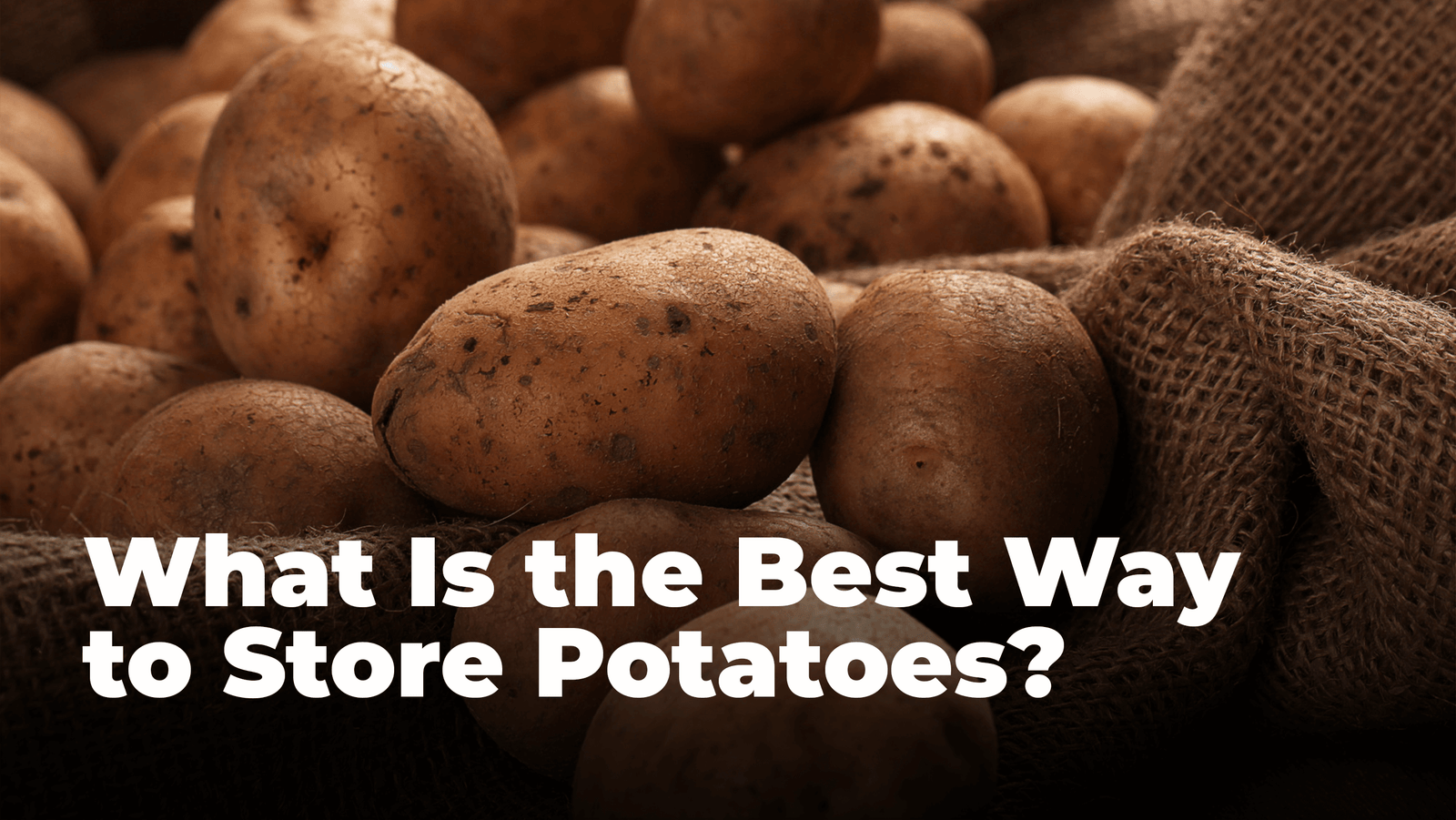 What Is the Best Way to Store Potatoes? - Saratoga Home