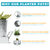 Planter pots with tray set featuring nice herbs
