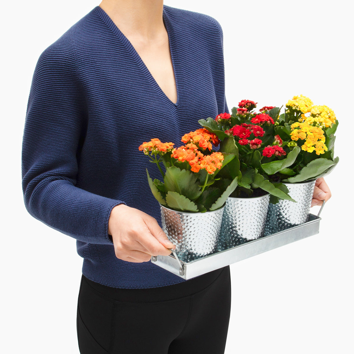 Lady carrying cute planter pots set with extra flowers
